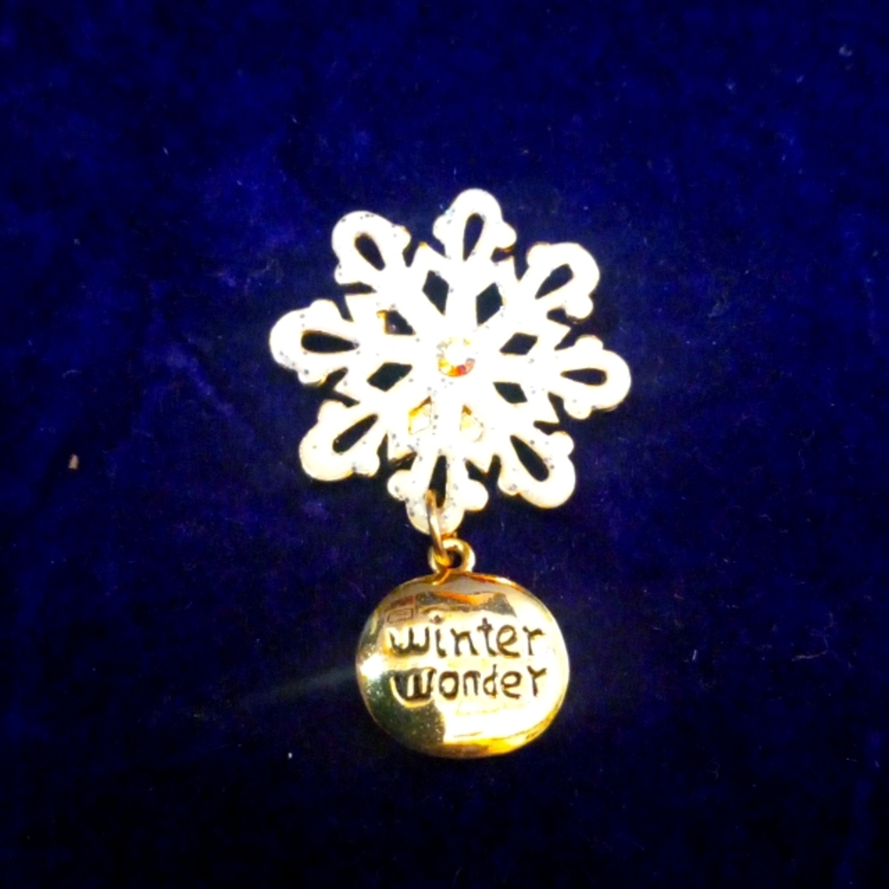 Q-4 AAI signed brooche